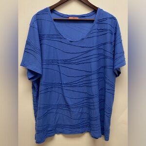 4 for $25 💙 Iyla Textured Short Sleeve Top 💙 3x